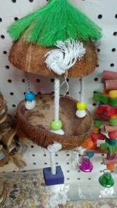 Coconut Shell Bird Play House