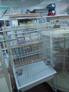 Medium White Cage