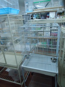 Medium White Cage