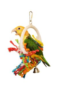 Medium Rope Preening Swing