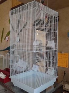 tall bird cage
