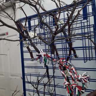 Manzanita Perches - Large Assortment