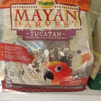 Higgins - Mayan Harvest  medium hookbill seed