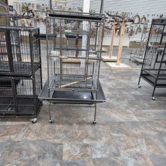Tall Parrot Cage with playstand
